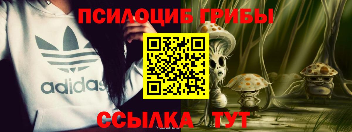 Электросталь  Галлюциногенные грибы прущие грибы  Галлюциногенные грибы мухоморы  Вход с VPN 